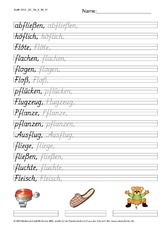 DSS_2S_Bu_fl_Nr_01.pdf